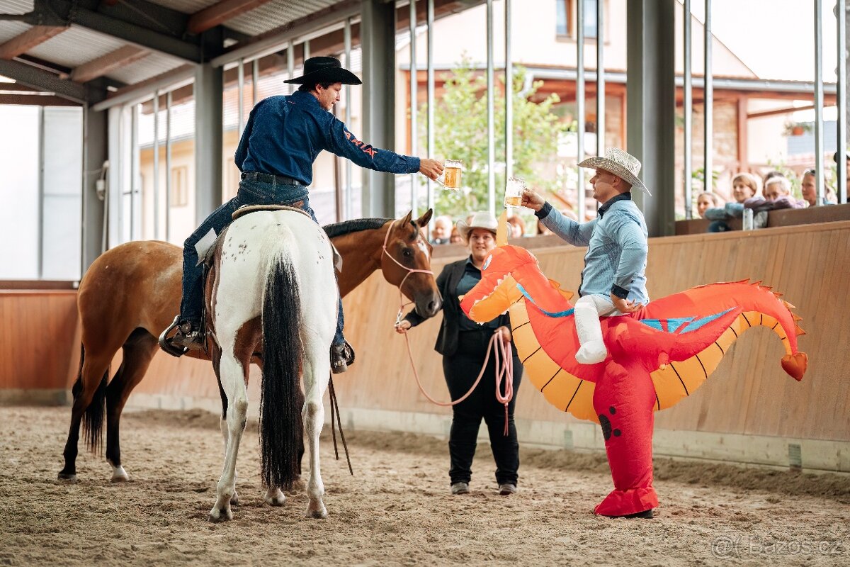 Fantastic Dj Valentin -připouštění homozygotní APH plemeník - 16