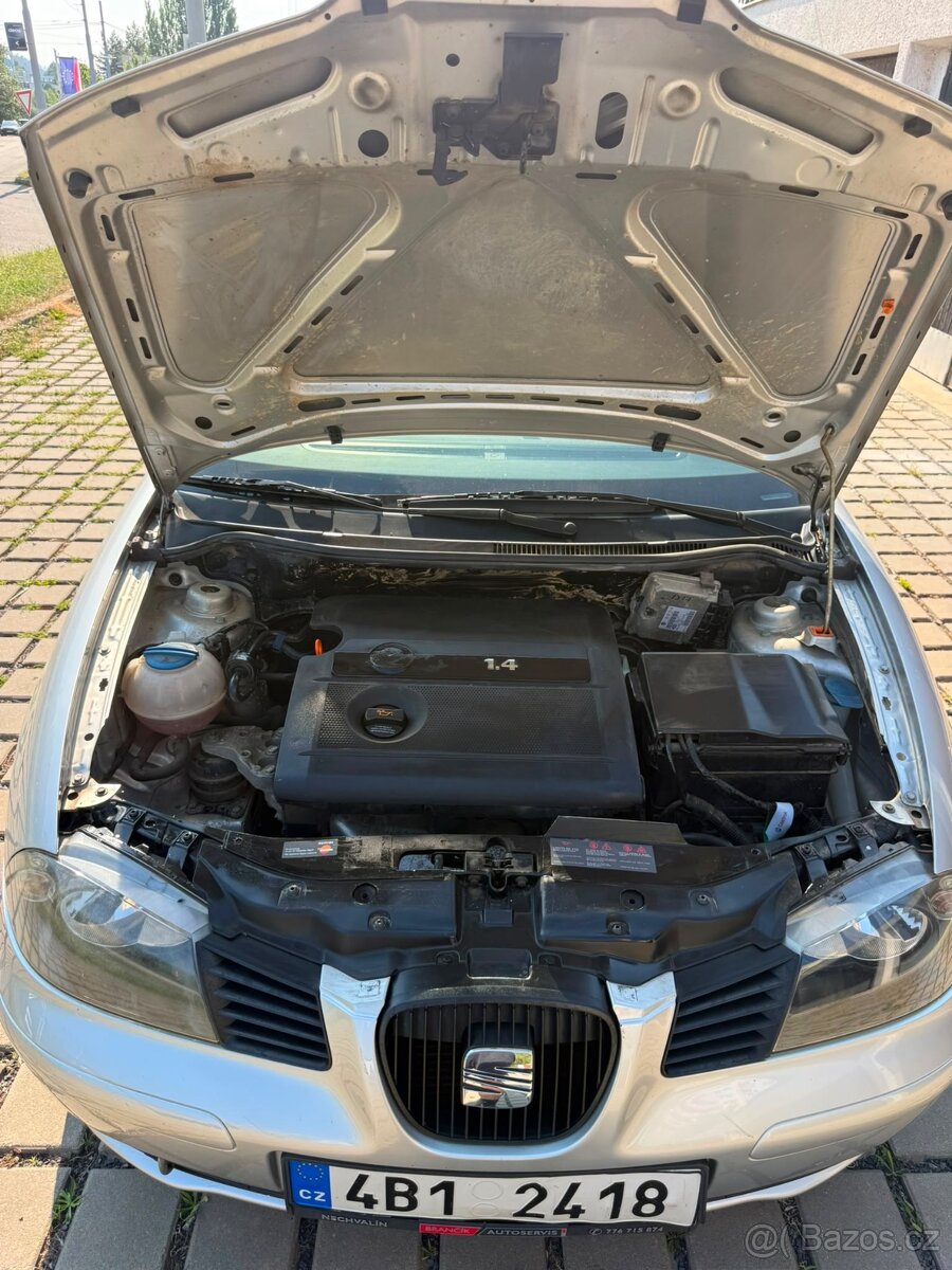 Seat Ibiza - 16