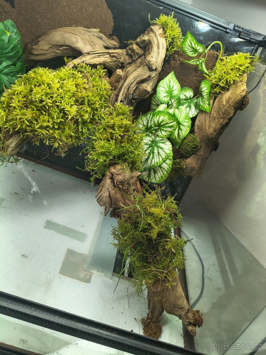 Terárium velké 60x45x45 - 16