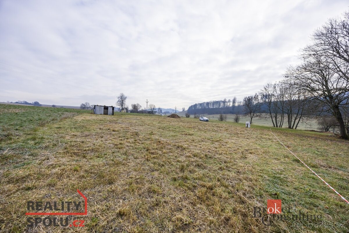 Prodej, pozemky/bydlení, 1000 m2, Rybná nad Zdobnicí, Rychno - 16