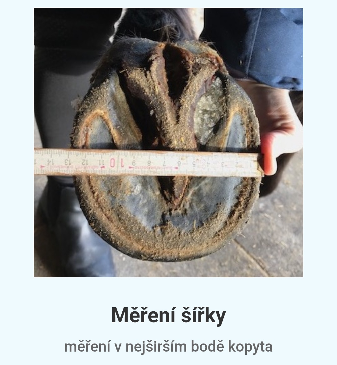 Prodám botičky Scoot Boots vel. 10 - 16