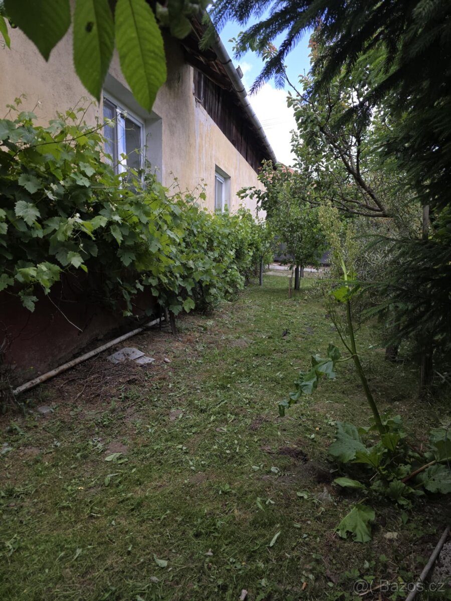 prodej staršího domu, Brumov u Lomnice, okr. Brno-venkov - 16