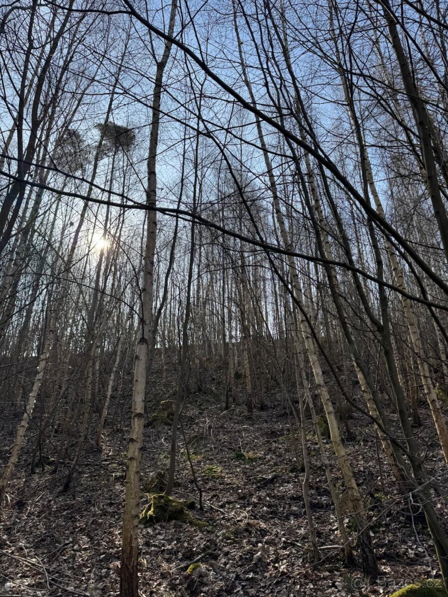 Prodám pozemky v katastrálním území Louňovice pod Blaníkem - 16