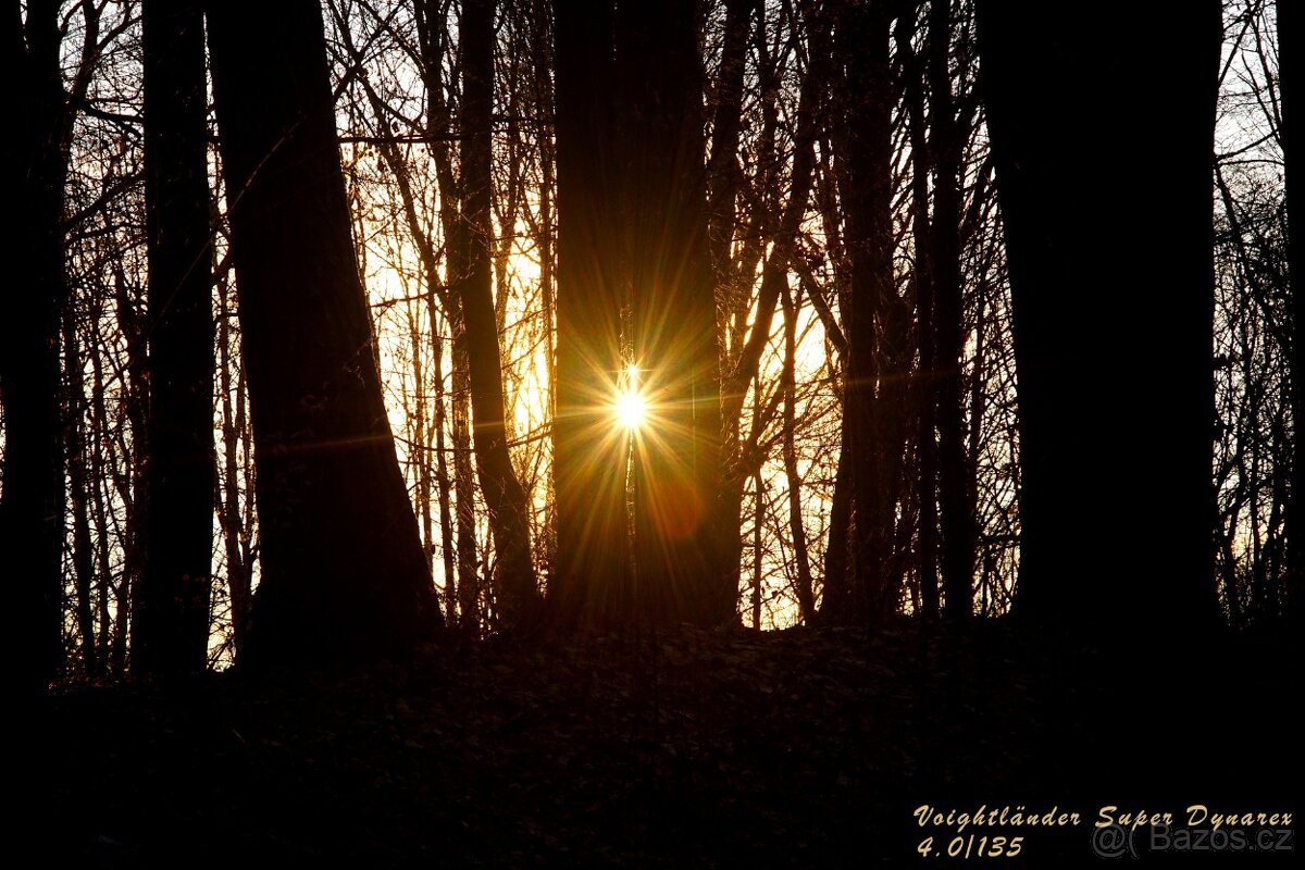 Voightländer Bessamatic De Luxe + 2 objektivy Voightländer - 16