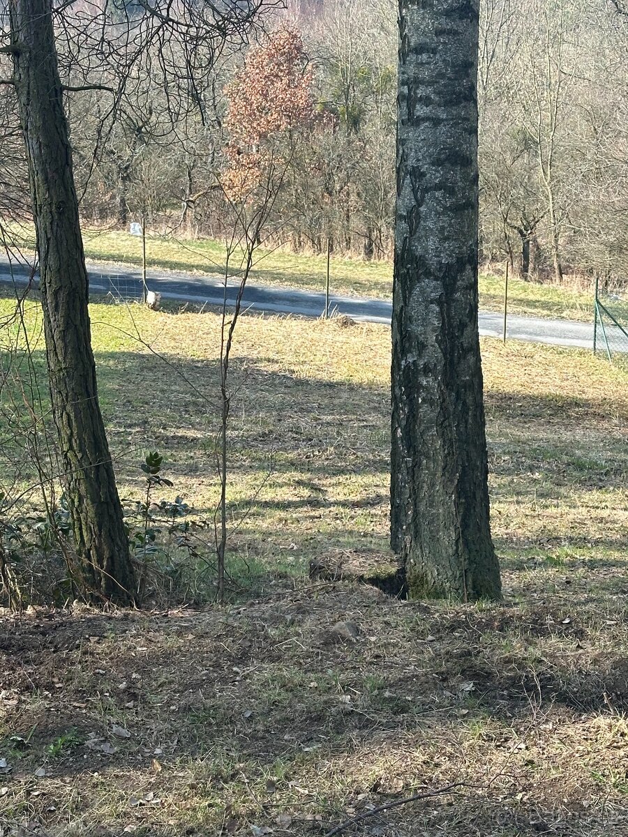 Prodej chaty u lesa - 16