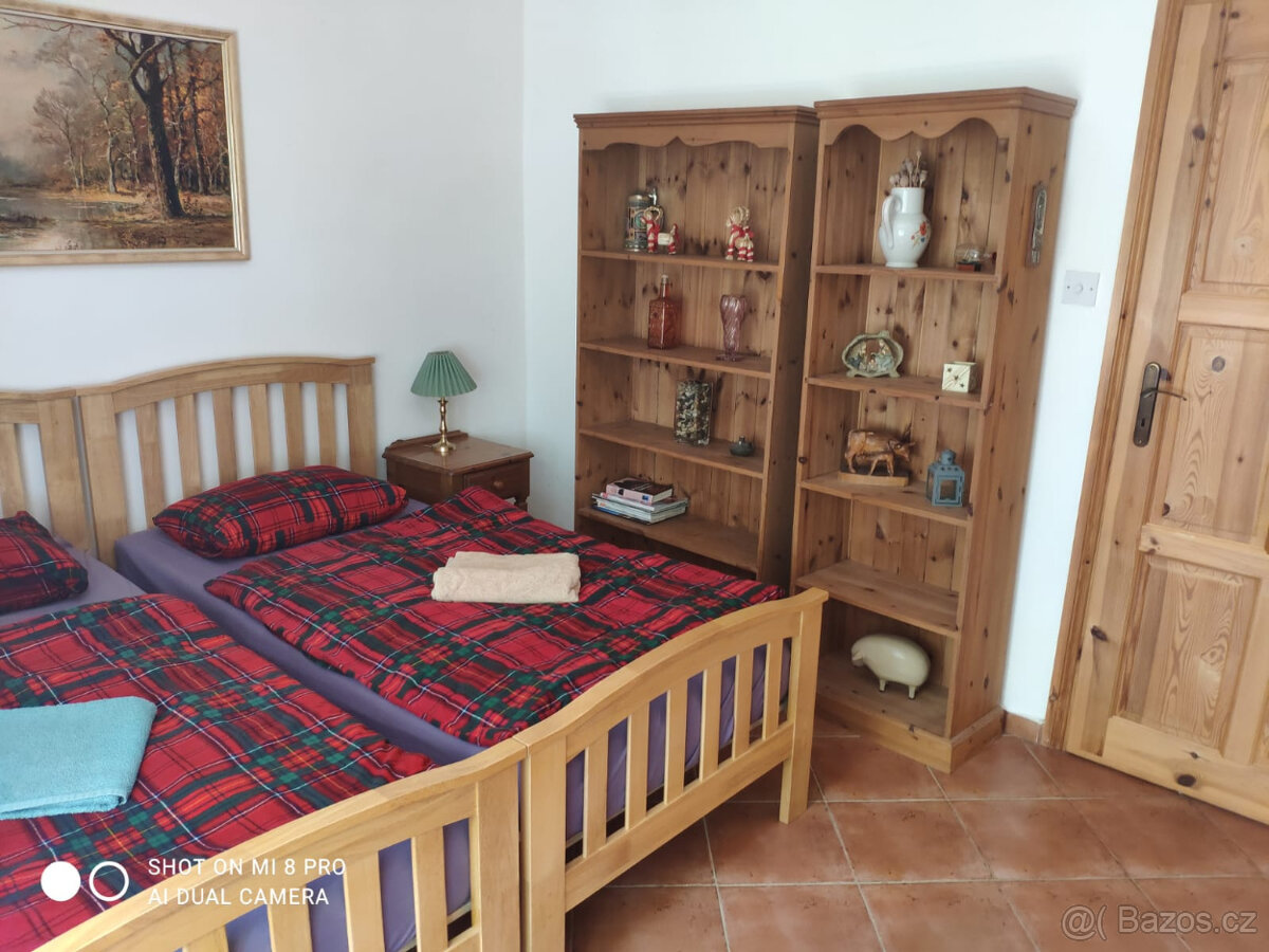 Půvabný mlýn s rybníky, lesy, pastvinami, 5 apartmanů - 16