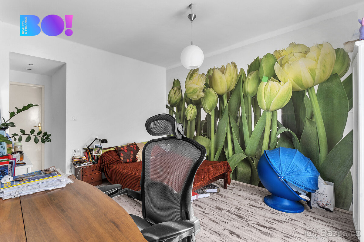 Prodej rodinného domu 4+1, 1 051 m², ul. Na Kopanici, Chrudi - 16