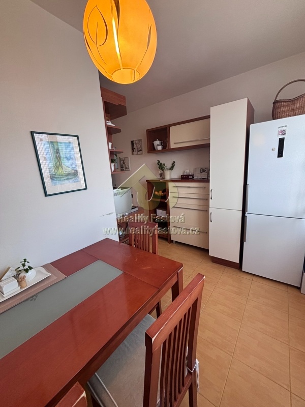 Plzeň – pronájem bytu 2+1 s lodžií - 16