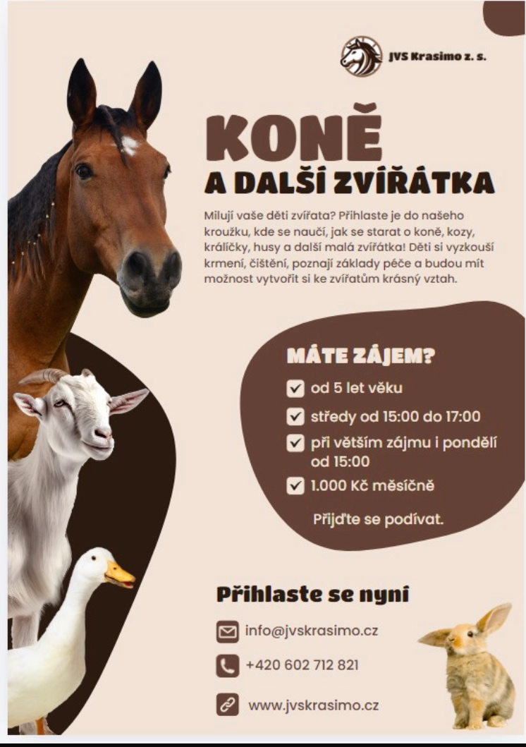 Jízda na koni, jízda kočárem, kroužek, voltiž, tábory - 16