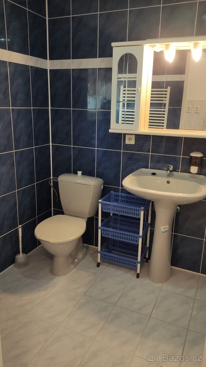 Pronájem Apartmánů Vranov nad Dyjí - 16