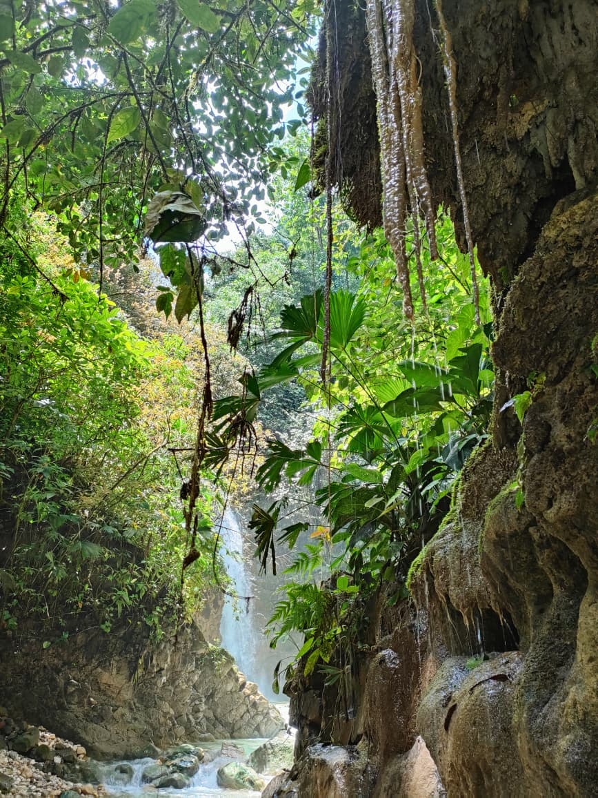 Farmy Kostarika Rio Claro - 16