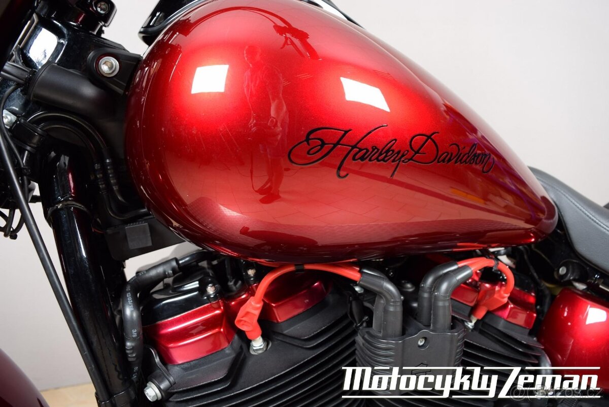 Harley-Davidson FLSL Softail Slim 2019 Chicano - 16