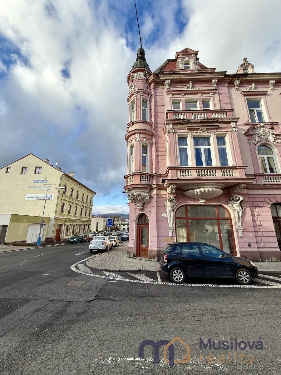 Pronájem obchodního prostoru 65 m2 - 16