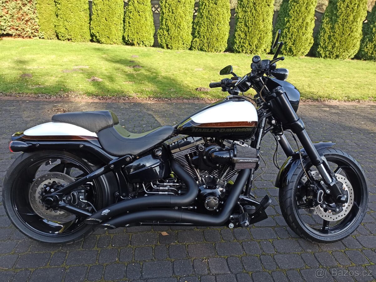 Harley-Davidson CVO Breakout - 16