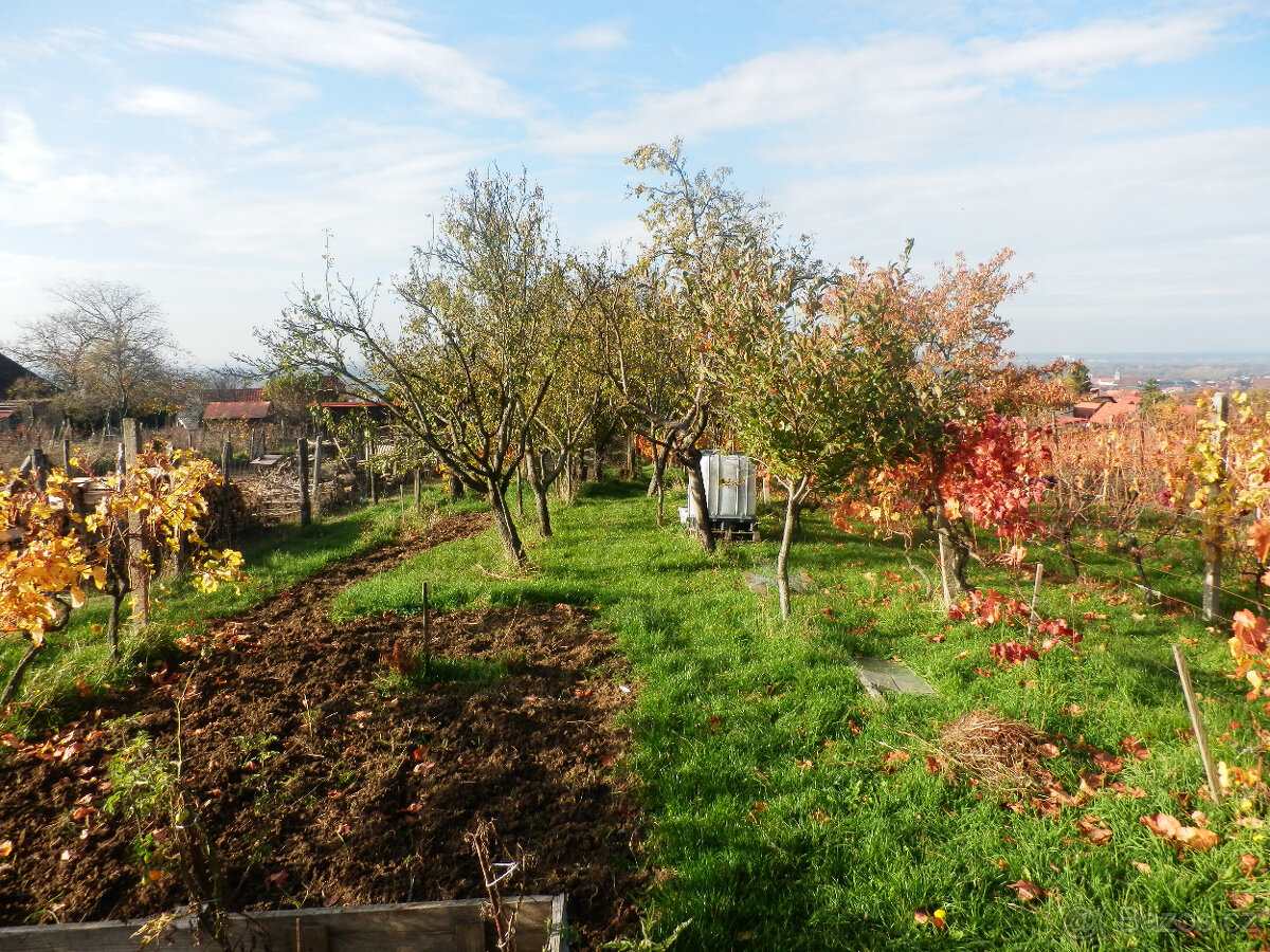 Predám vinohradnícky domček s pozemkom v Skalici na Slovensk - 16