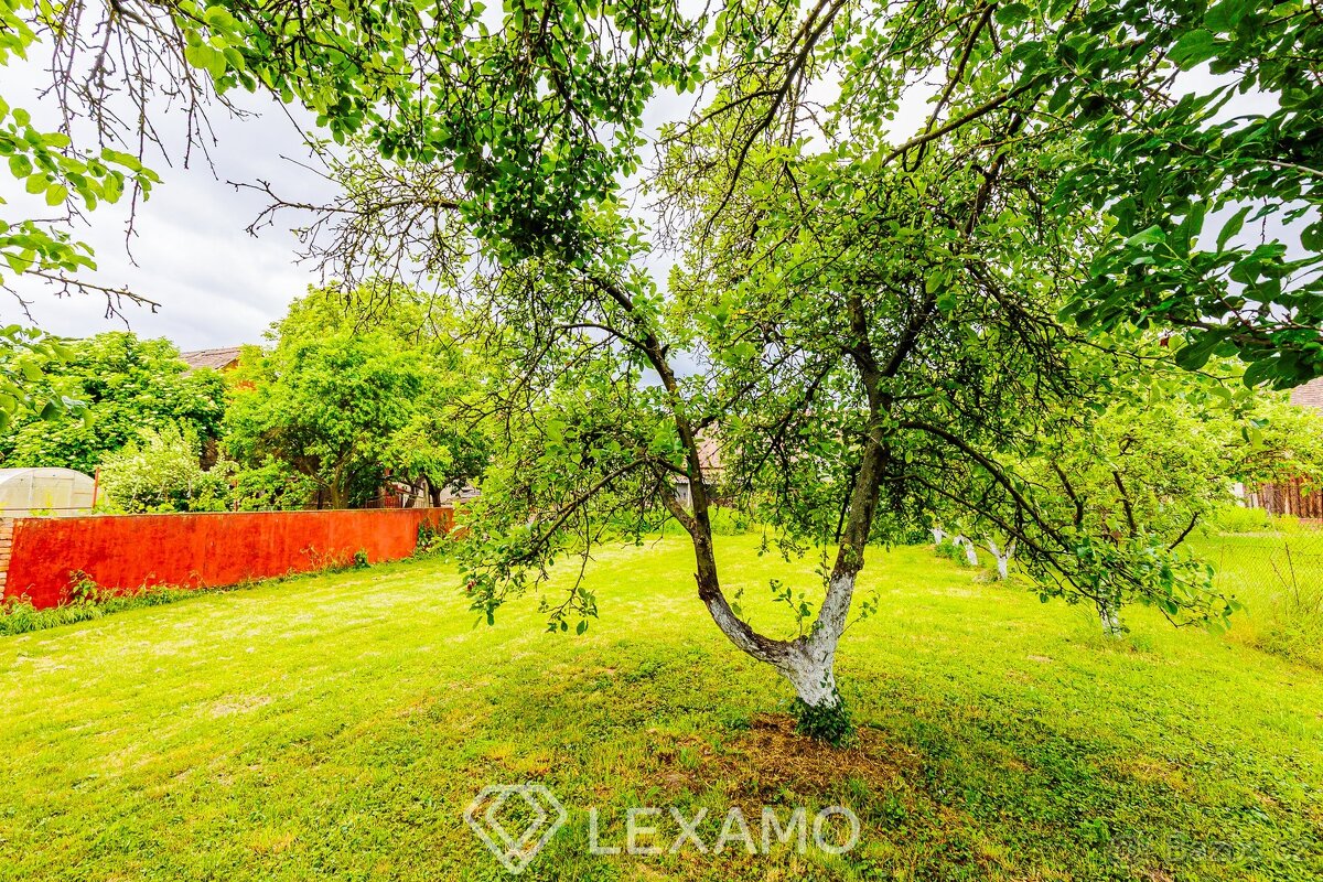 Prodej rodinného domu s pozemkem a stodolou: Únanov u Znojma - 16