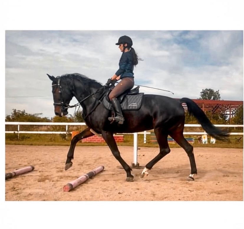 Krásná Podsedlová dečka EQUILINE diamac logo VS black-třpyt. - 16