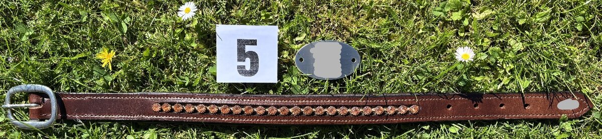 Kožený psí obojek bez připojení na vodítko, náhrdelník MIX - 16