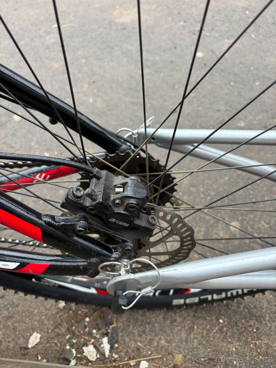 Rascal 20" + Followme tandem - 16