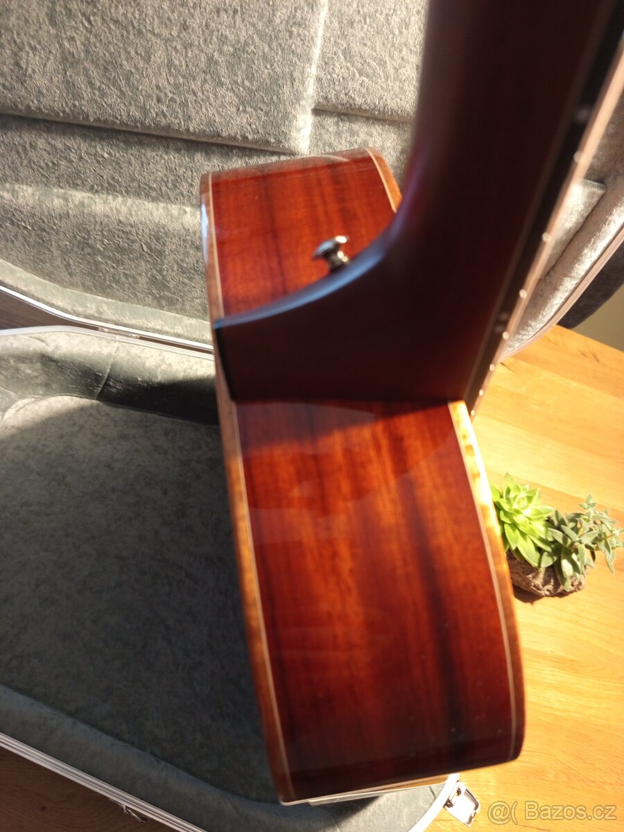 Furch Yellow plus om-cp - 16