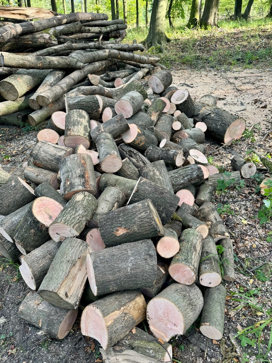 Prodej palivového dřeva - 16