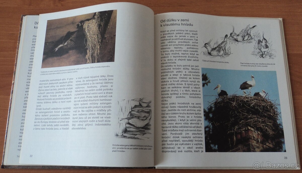 Psi, Stavby zvířat - 16