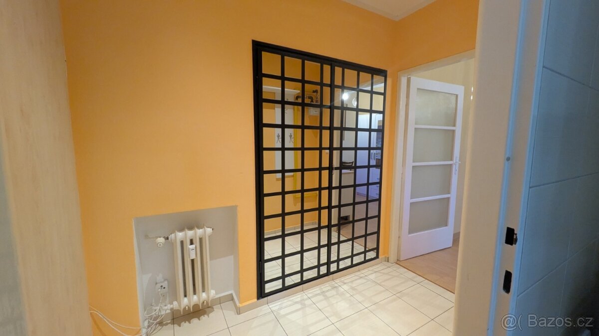 (REZERVACE) Pronájem, prostorný byt 1+1 53 m - 16