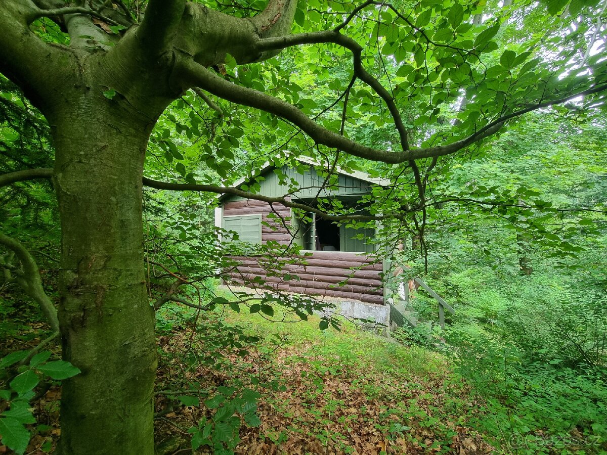 Prodej chaty v CHKO Železné hory - 16