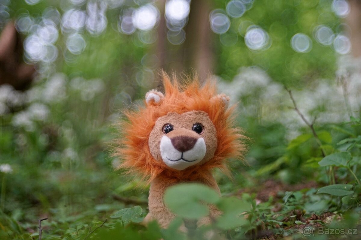 Meyer Optik Gorlitz Trioplan 100mm f2,8 red V EXA - 16