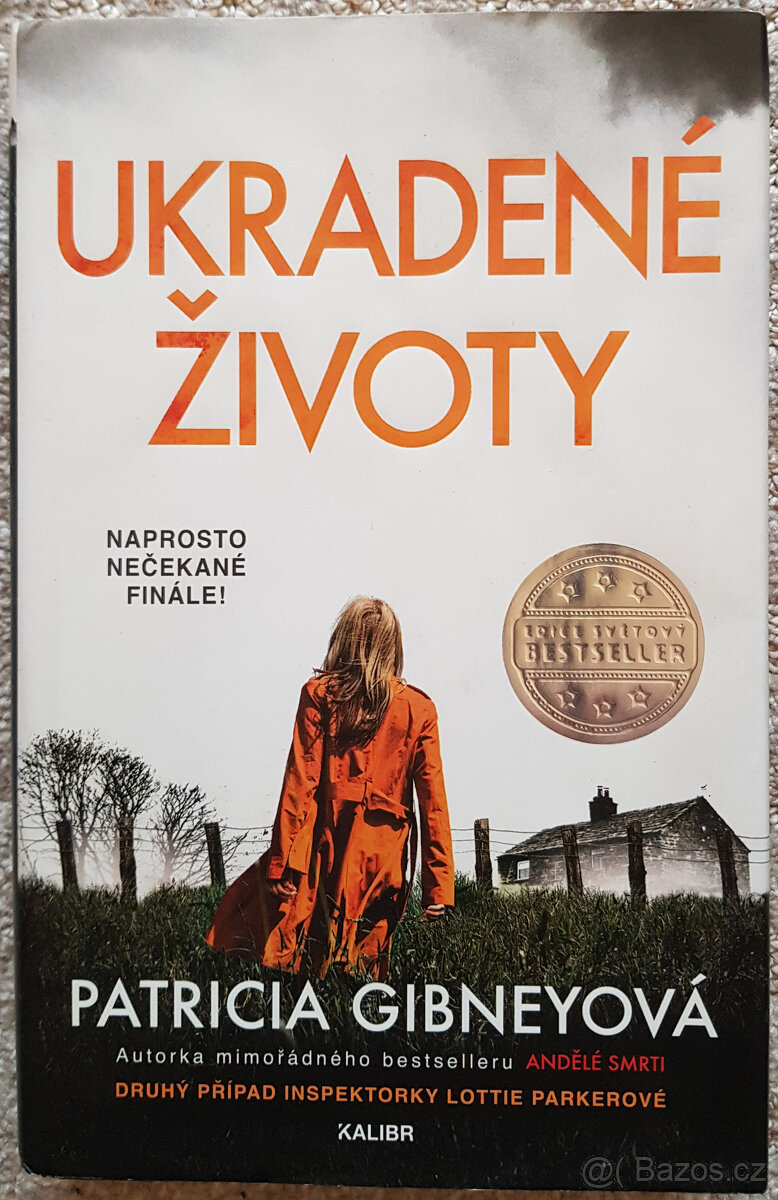 Číslo 20, Tajemství pomocnice, Skryté karty, Ukradené životy - 16