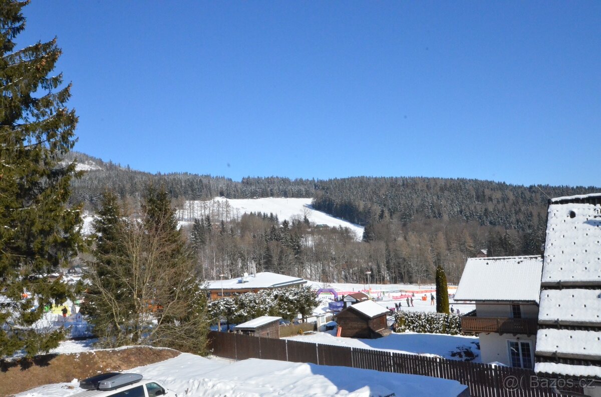 Prodej zavedeného rodinného penzionu + rozestavěná stavba - - 16