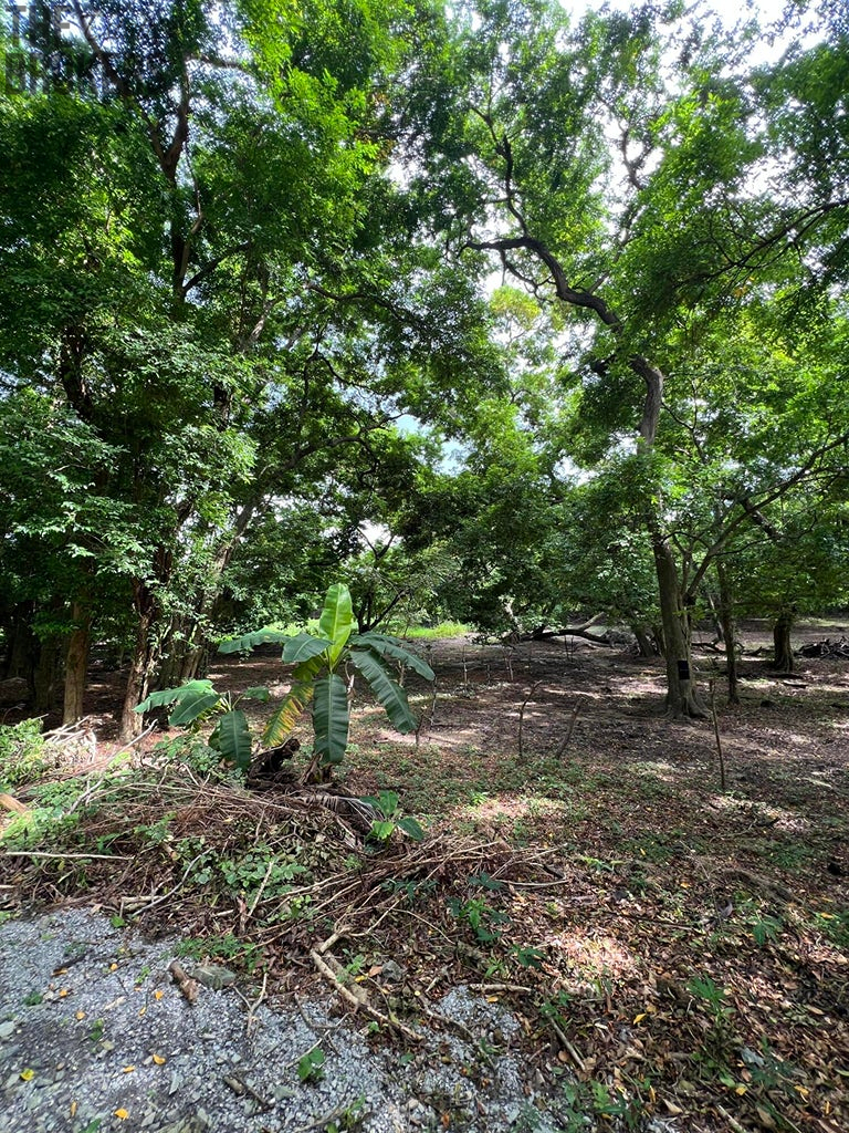 Punta Blanca, Lot 3 - 16