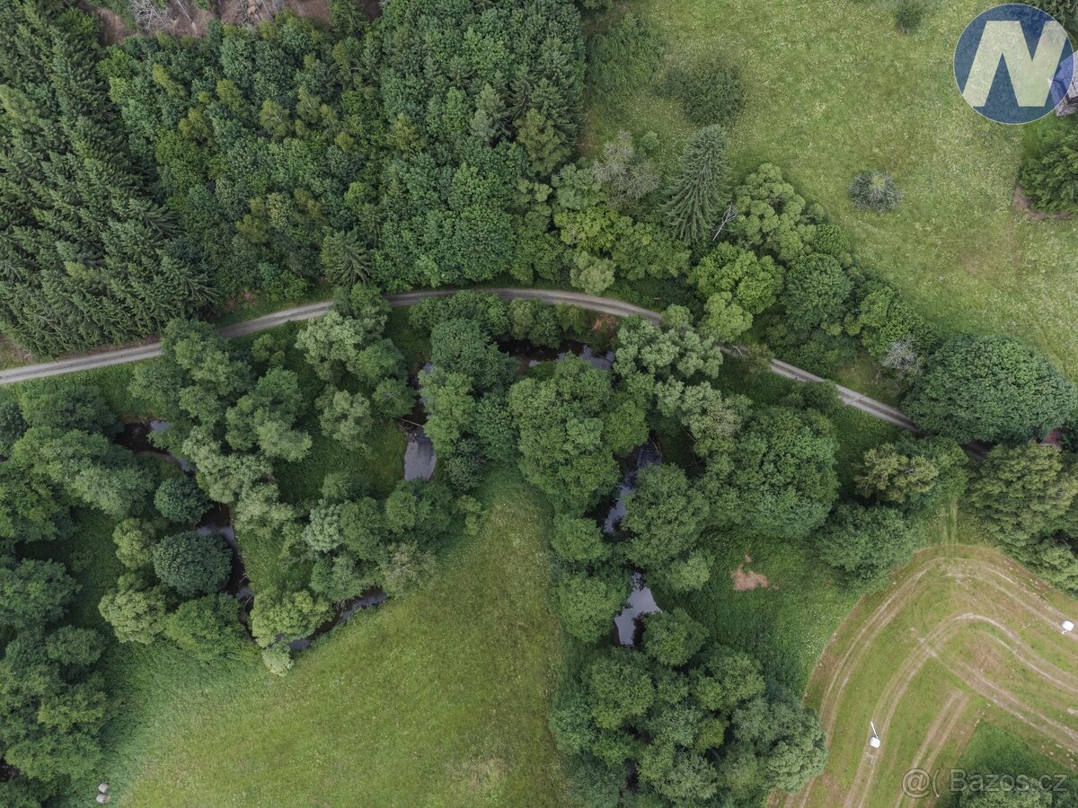 Prodej soustavy rybníků, Kříženec u Mariánských Lázní, možno - 16