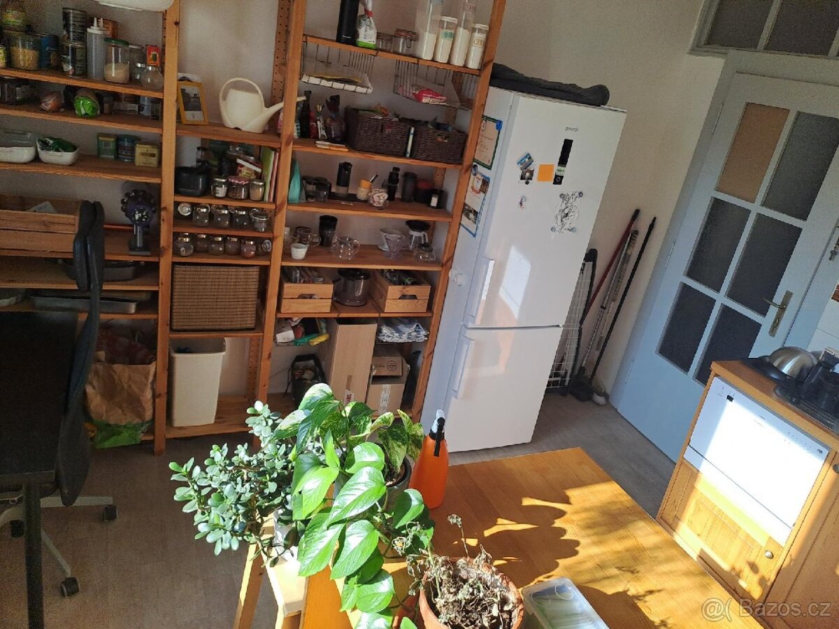 Prodej bytu 1+1 45 m² Hvězdova, Praha - Nusle - 16