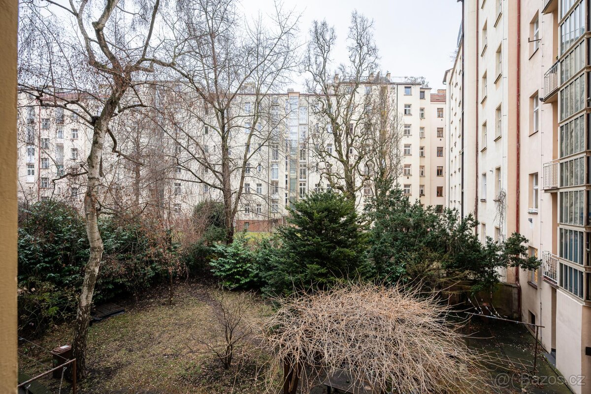 Příjemný byt 1+1 s výhledem do zeleného vnitrobloku | Bubene - 16