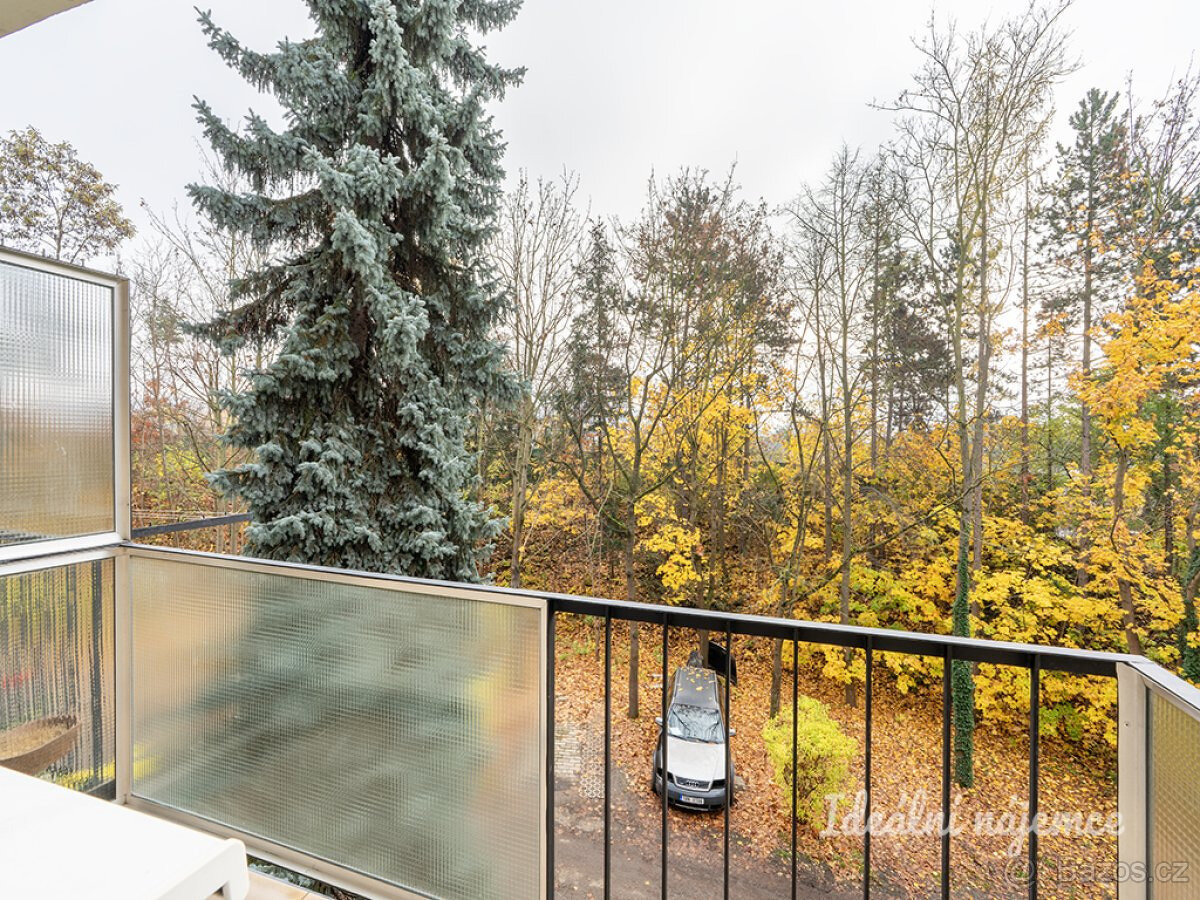 Pronájem bytu 3+1, Rosečská, Krč, 32900 Kč/měs, 84 m2 - 16