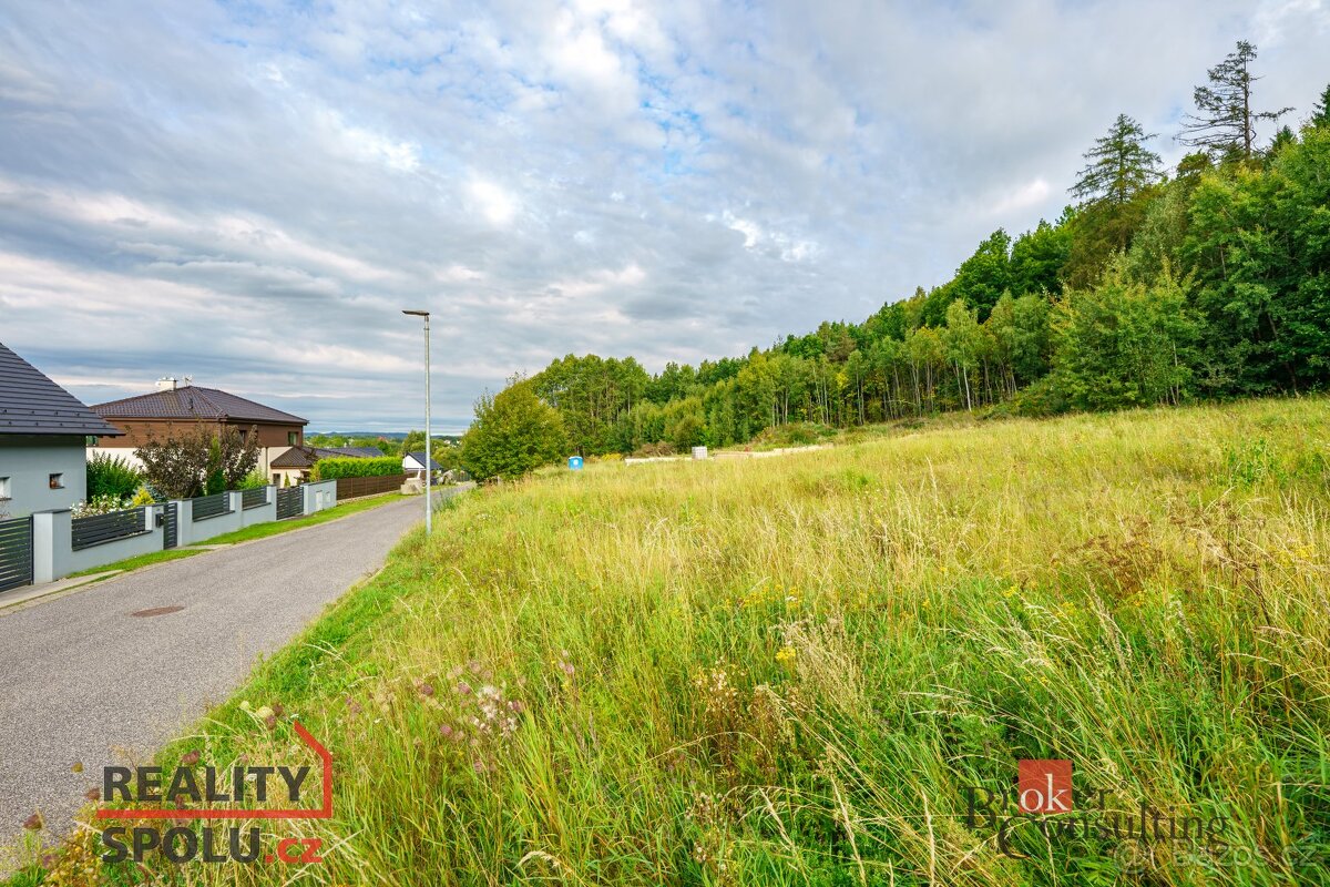 Prodej, pozemky/bydlení, 1624 m2, Pelíkovická, Hodkovice nad - 16