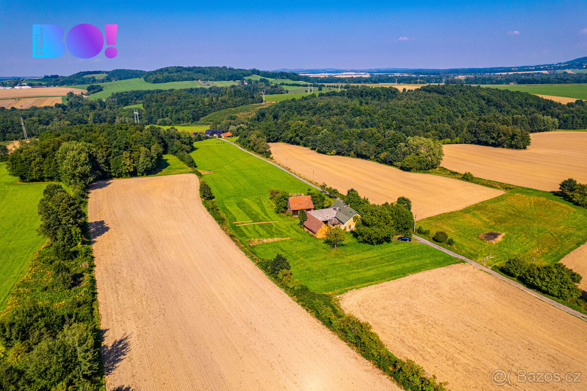 Prodej pozemků se stavbou, Janovice - 16