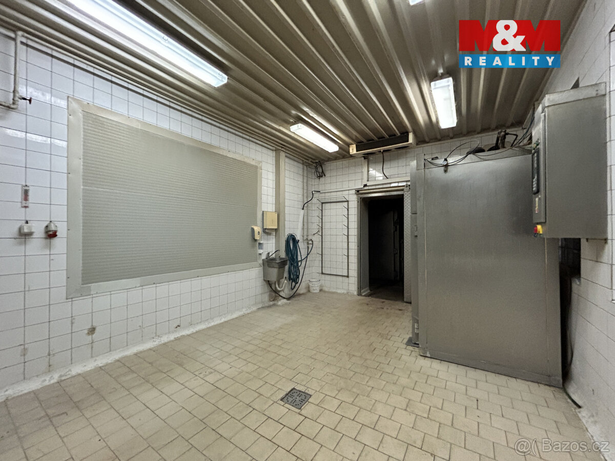 Pronájem výrobního objektu, 2400 m², Litenčice - 16