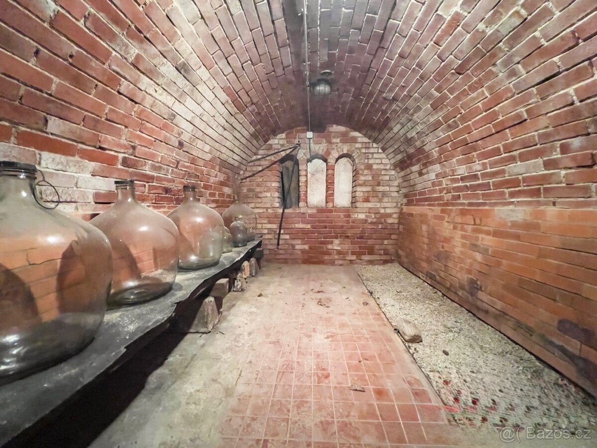 Pronájem rodinného domu v Dobšicích - AKCE - 16