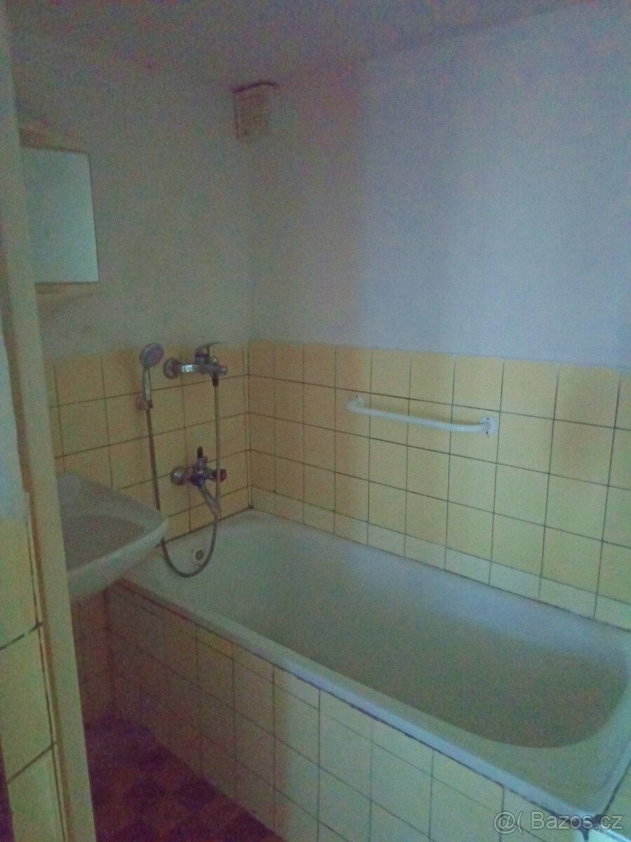 Prodej rodinného domu ve Střílkách - 16