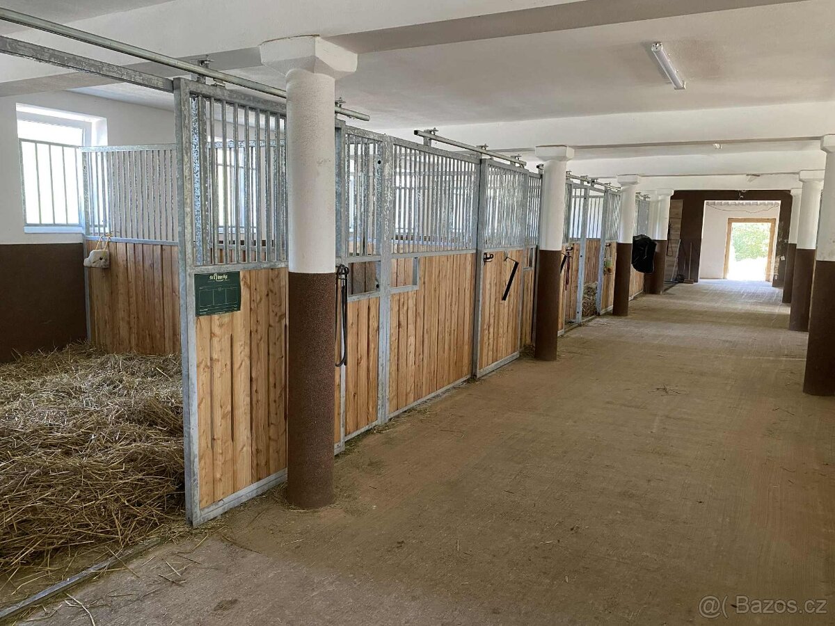 Ustájení koní - Plzeň - jih - 16