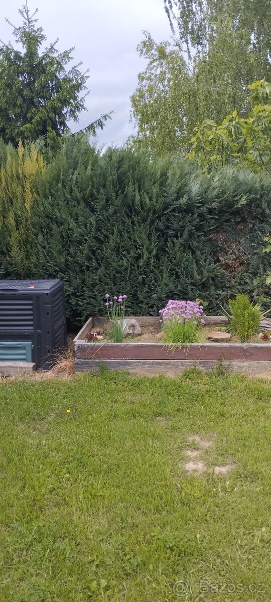 Velké Bílovice-pronájem chaty s loďkou - 16