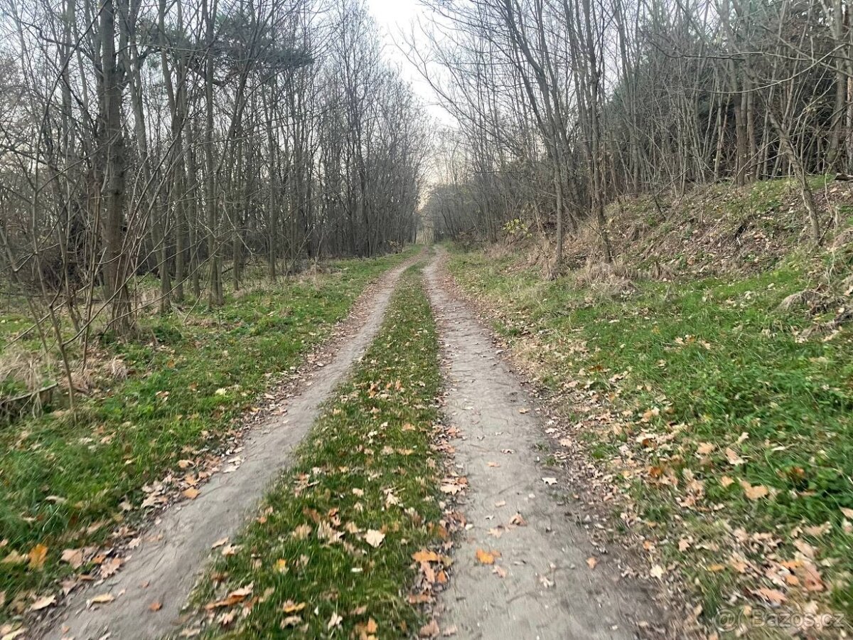 Veľký Pozemok 45 172 m² pri Malých Levároch - 16