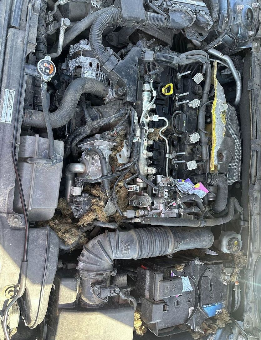 Mazda 6 GJ 2.2 SH náhradní díly. - 16