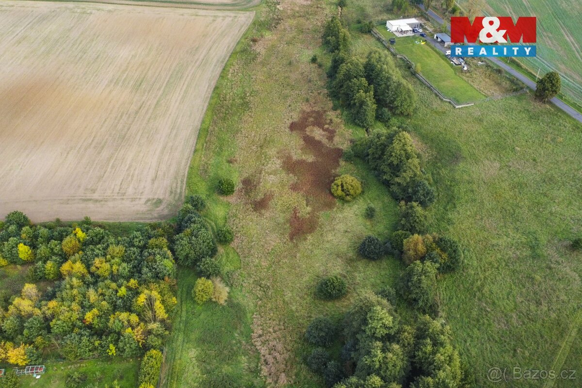 Prodej pozemku 8900 m2 v Žirovicích u Františkových Lázních - 16