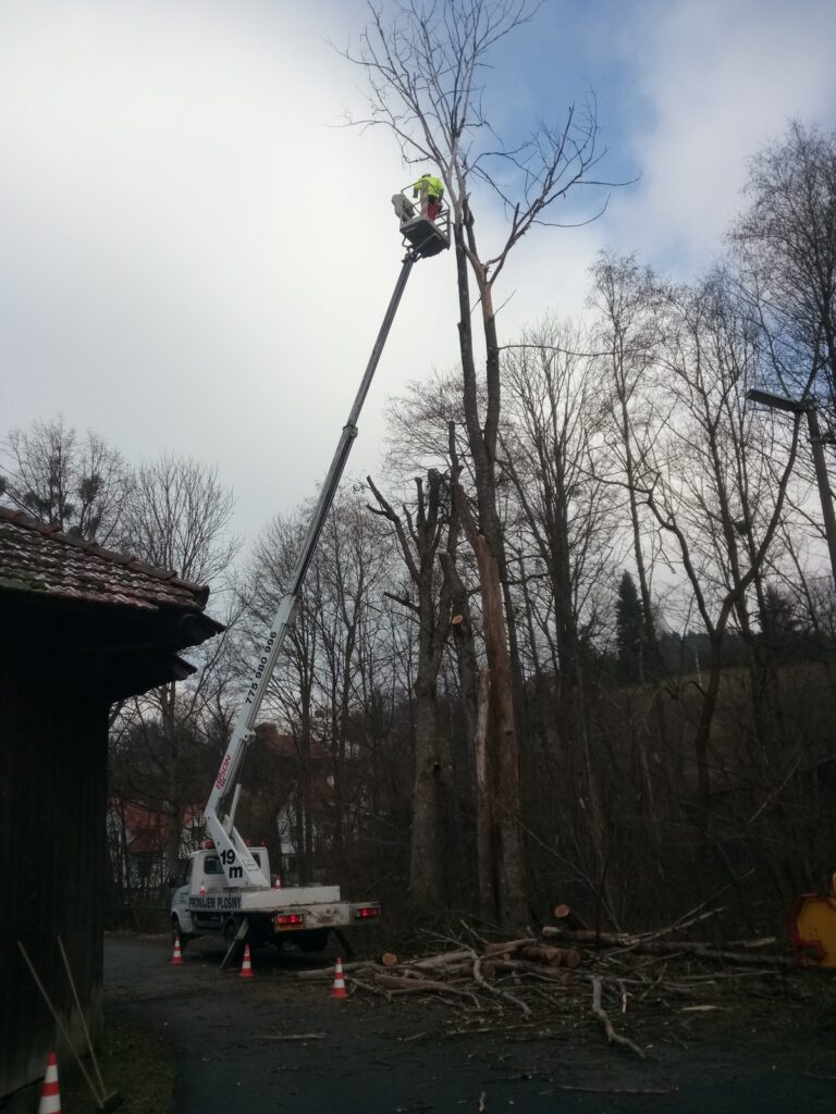 Pronájem plošin - 16