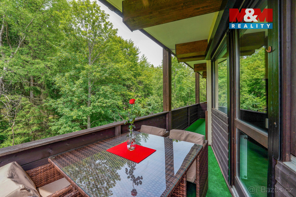 Prodej bytu 2+kk, 55 m², Železná Ruda - 16