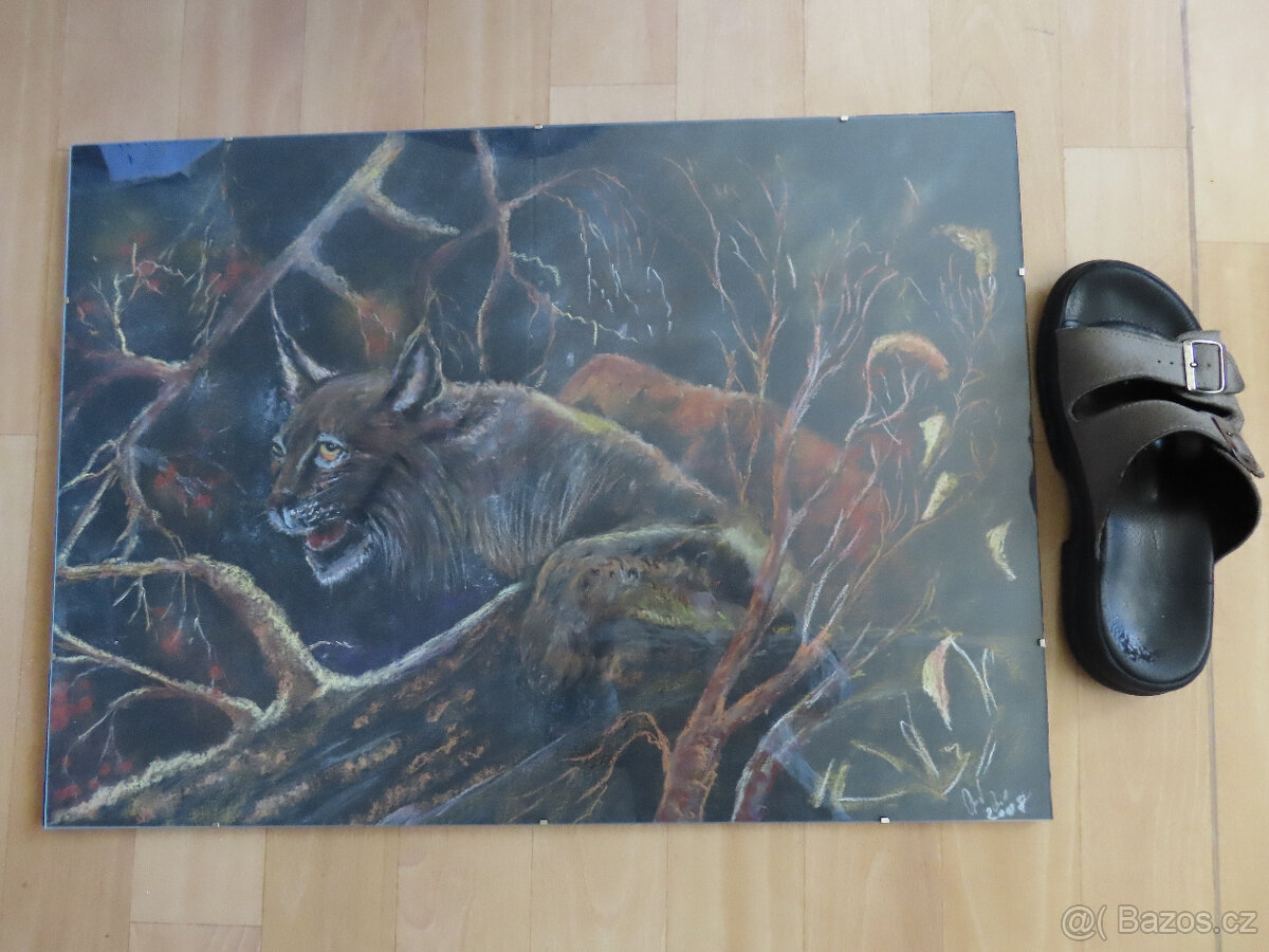 Srnčí parůžky - 16