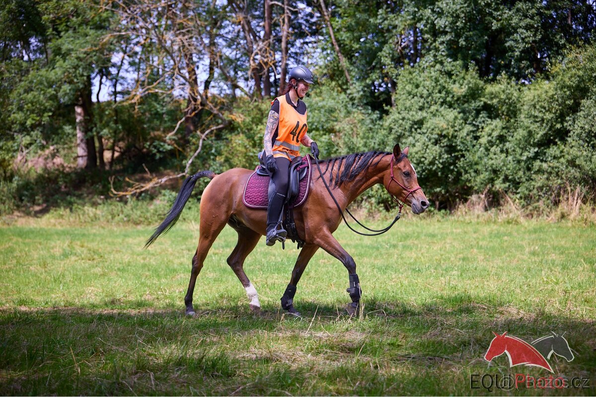 ReactorPanel Elegance - drezurní sedlo - 16